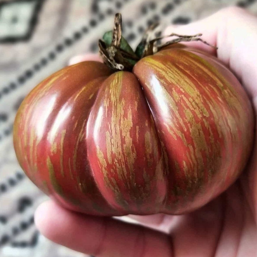 Tomato Box - Ten Week Subscription