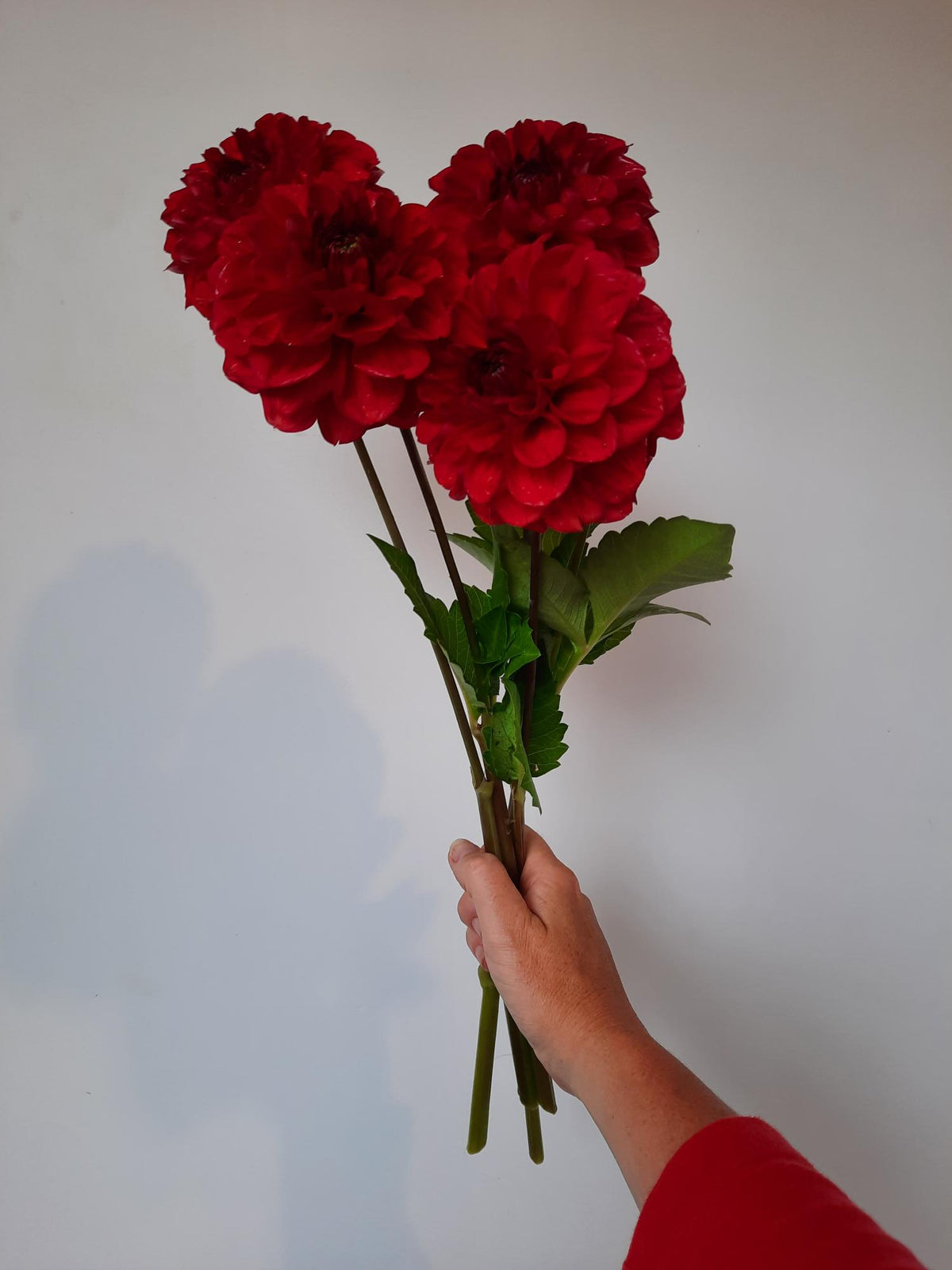 Everbloom Blood Moon