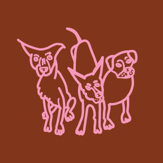 Three Dogs Flower Farm
