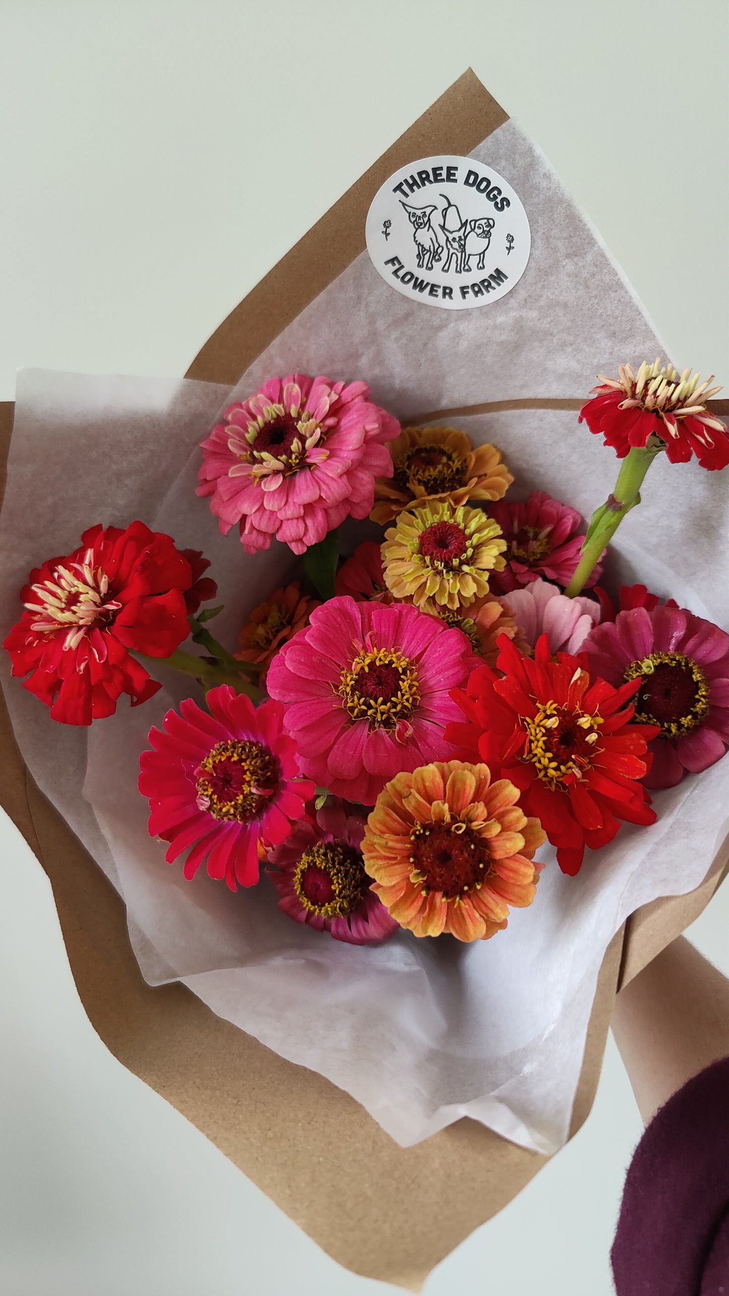 Hand-tied Bouquet of Earth-friendly Flowers