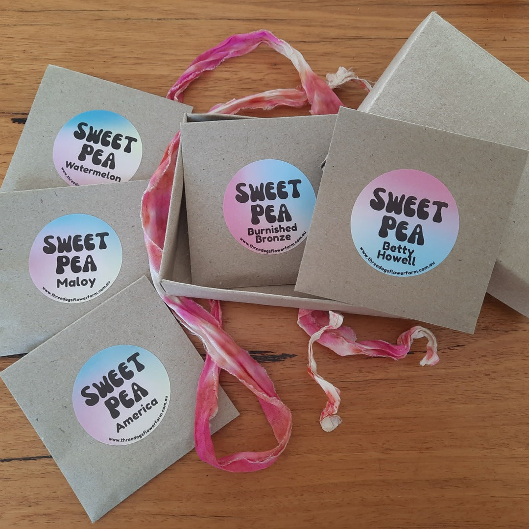 Sweet Pea Gift Set - Bright & Bold