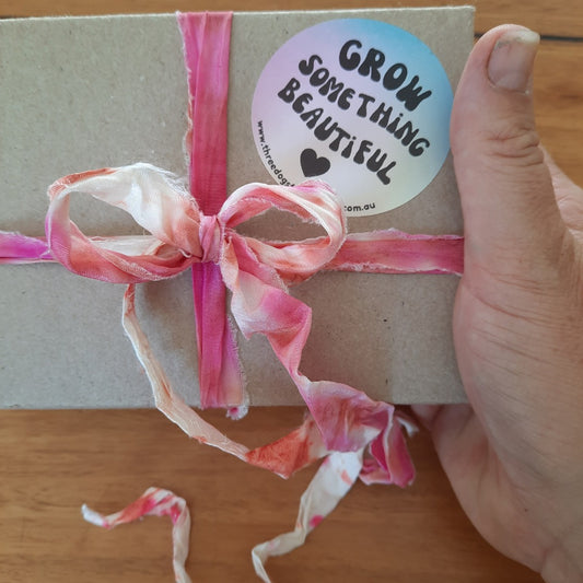 Sweet Pea Gift Set - Bright & Bold